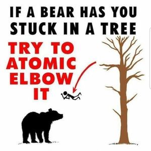 Meet your Posher, Clint